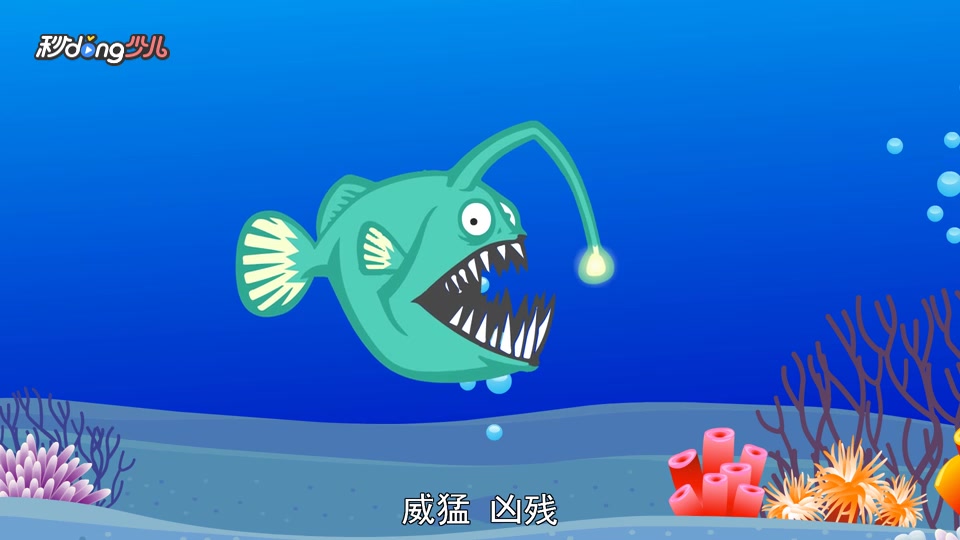 雌性__鱼也有蛋蛋?