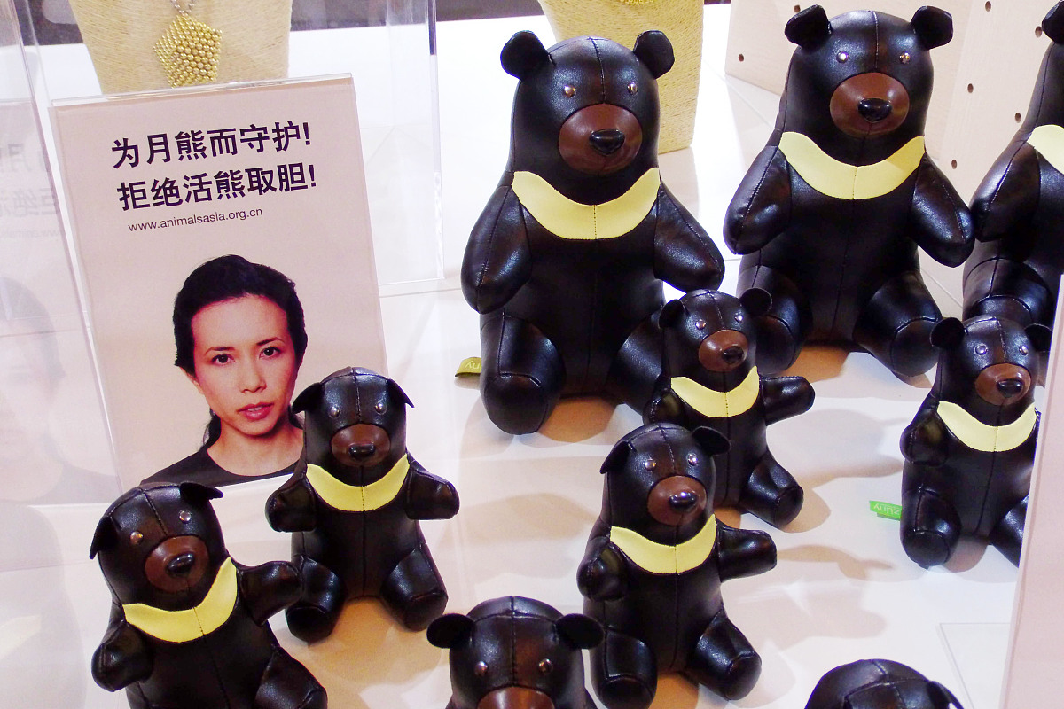 拓展打一拳十块玩偶熊创业项目