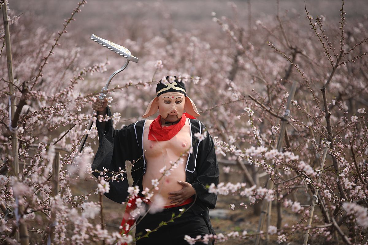 时空迷局：误入平行世界的少年