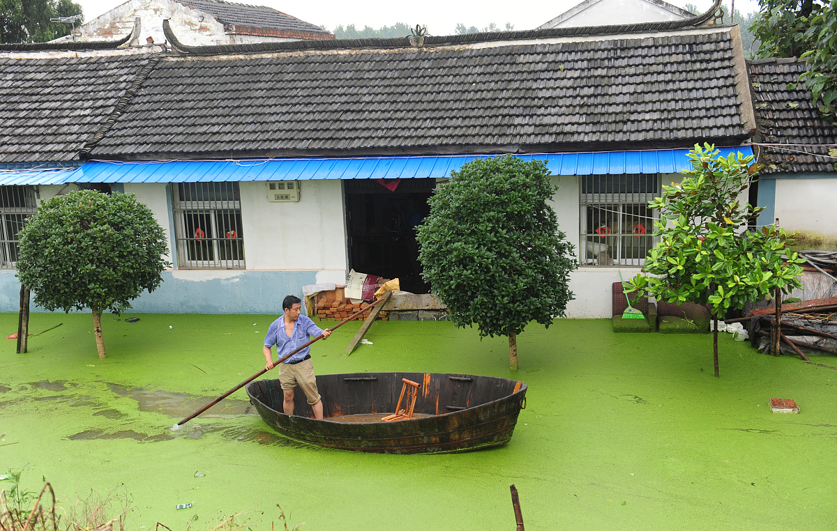 那马镇农业服务中心实习日记：船只图片信息整理