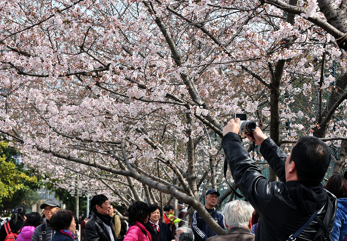 四平职业大学物流管理专业怎么样？教学质量深度解析