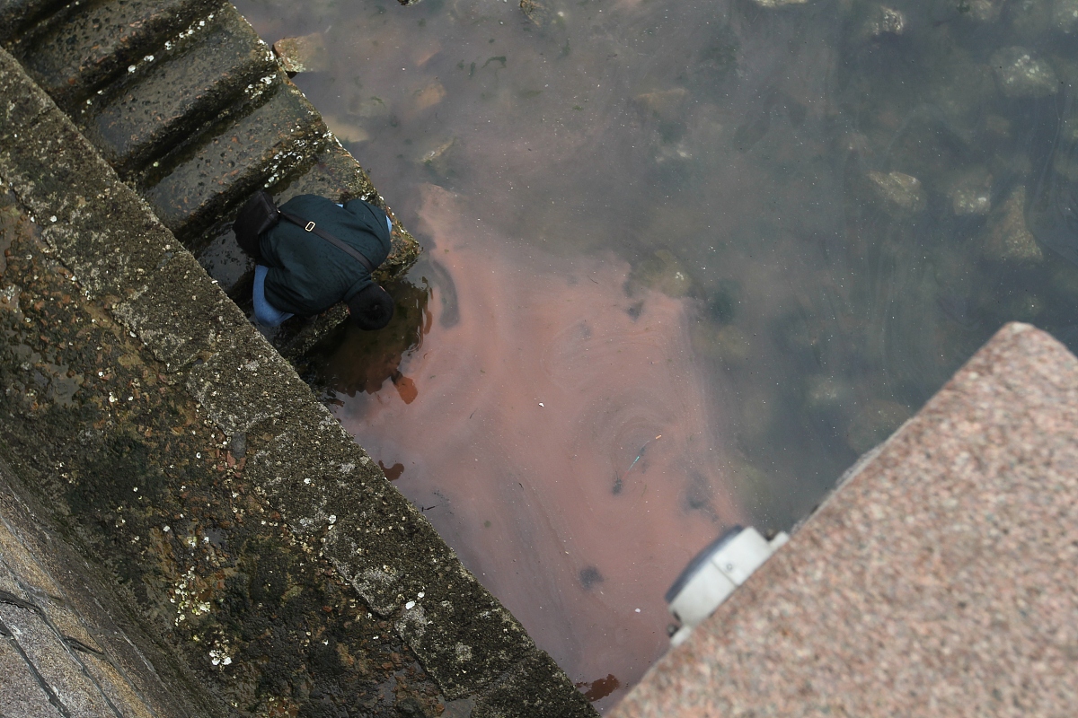 化工厂污水危害深度解析：环境与健康的双重威胁