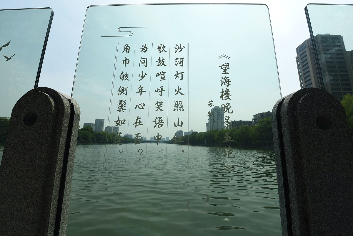 漫谈苏轼词中的“杨花”意象:一场文学与情感的邂逅 漫谈苏轼词中的“杨花”意象:一场文学与情感的邂逅