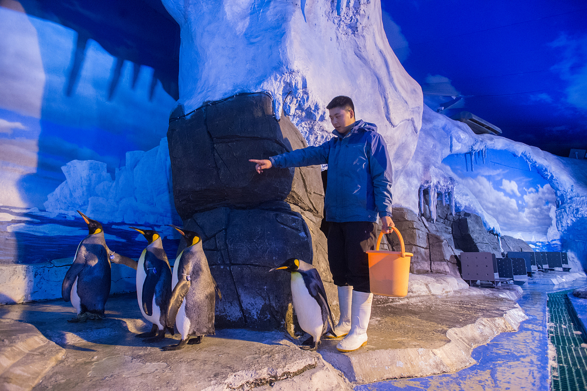 水的最高温度能达到多少度