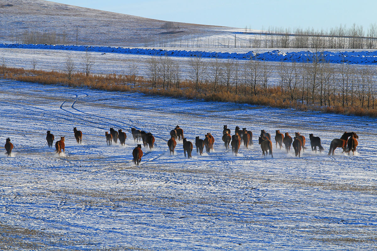 广西水产畜牧学校2023年招生对象有哪些-怎么样