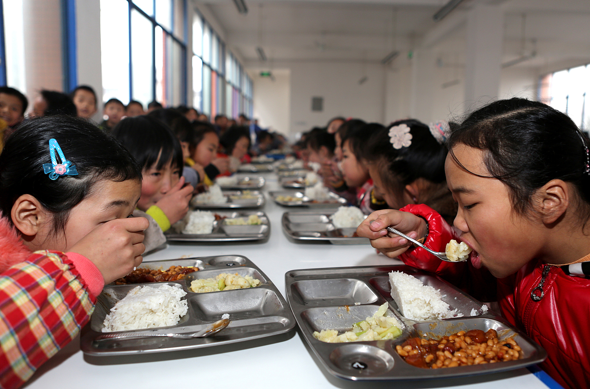 四川省经济技术学校专业设置：经济、管理、信息技术等多个领域