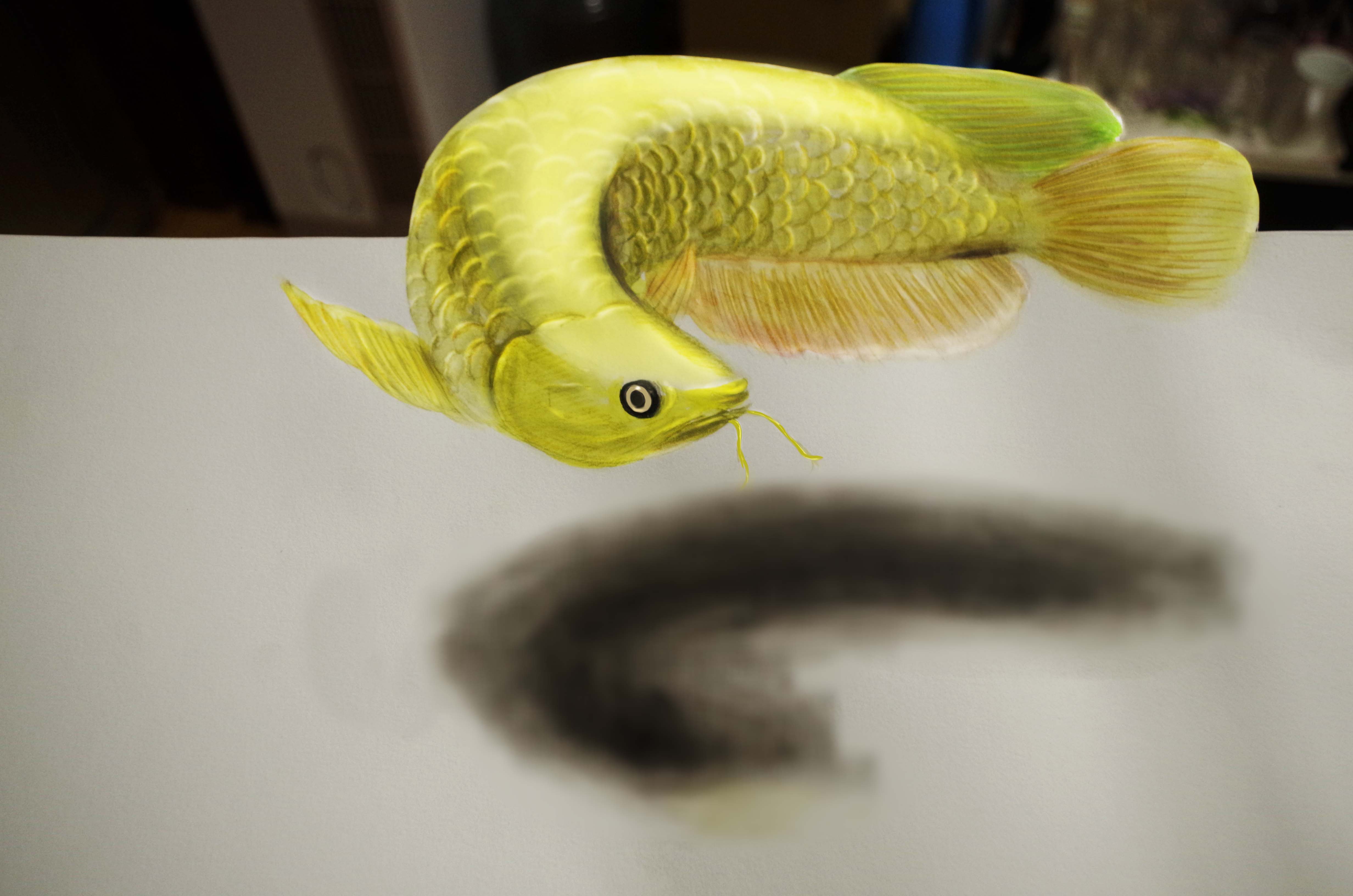 金龙鱼3D立体画手绘,祝大家新年财源滚滚,好运连连!