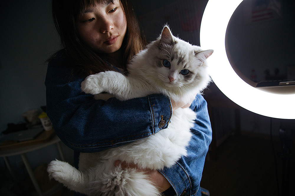 写一份关于统筹茶叶自媒体运营方面的计划书包括项目启动资源人员构建配置短视频脚本方案直播脚本方案和投流计划方案！