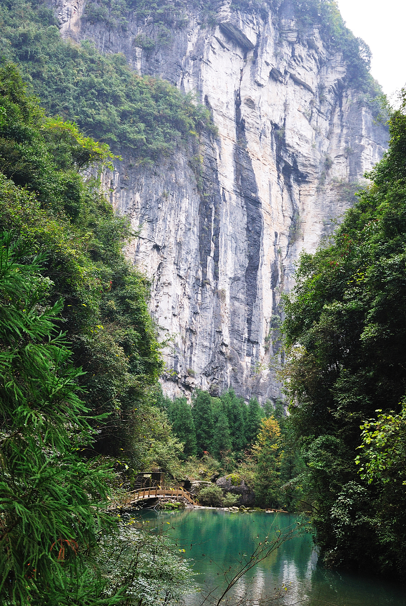 重庆旅游职业学院数字媒体技术专业怎么样？发展前景如何？