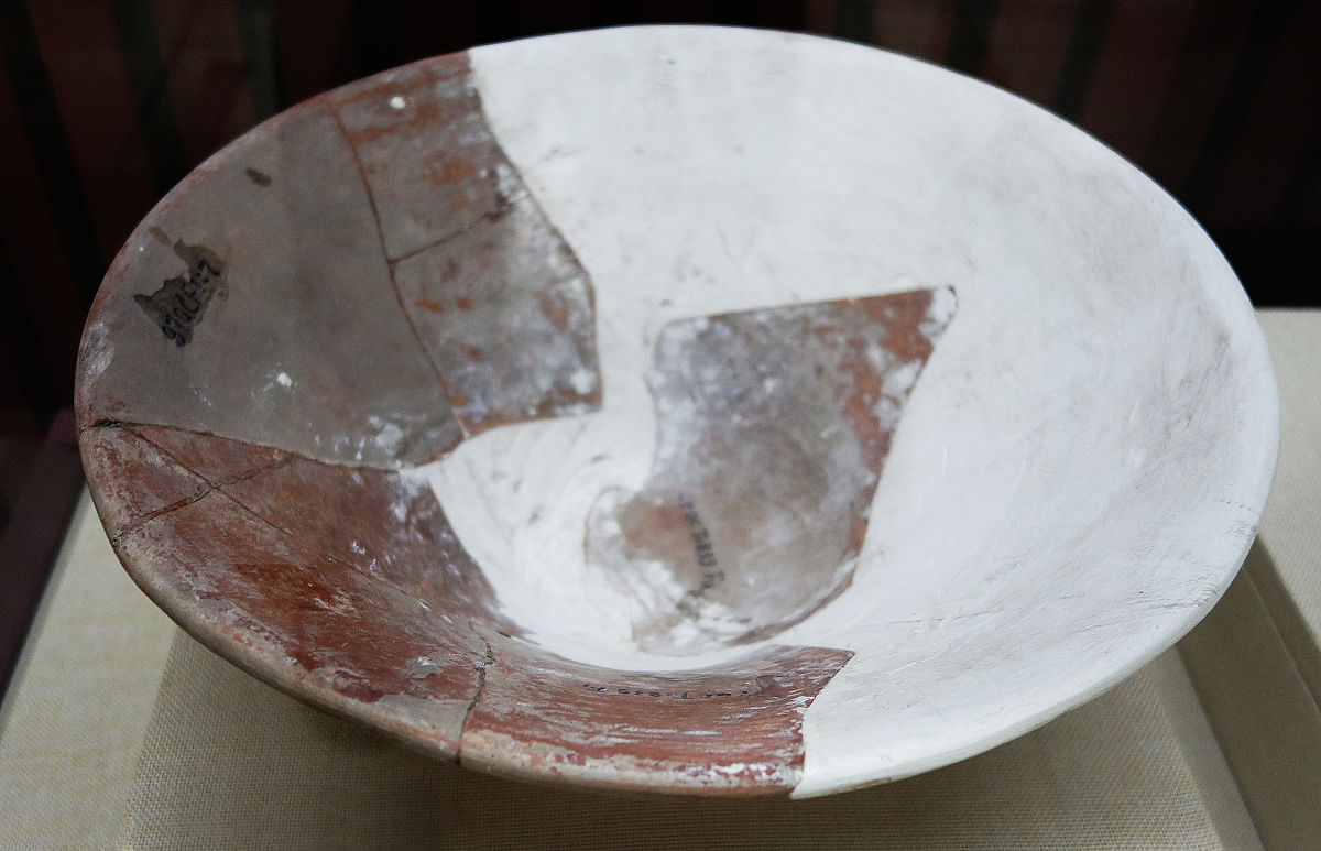 自动评分—100 - 内蒙古开放大学自动评分脚本