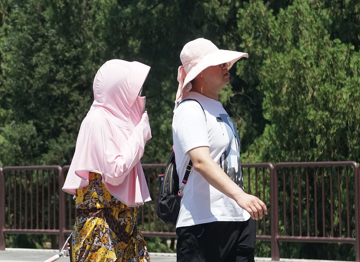 夏日热浪：无声的束缚与顽强的生命力