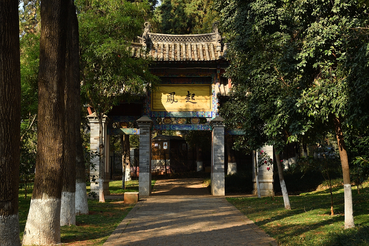 云南大学空乘专业招生简章2022年3+2五年制大专招生简章怎么样