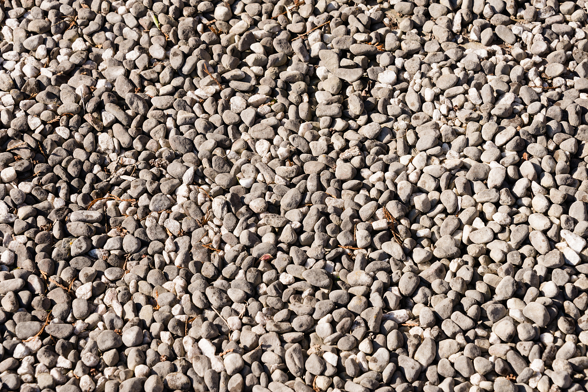 生物陶粒 vs 普通陶粒：成分、功能和应用区别