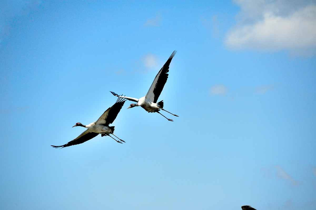云南省昭通市财贸学校2022年招生办联系电话好不好