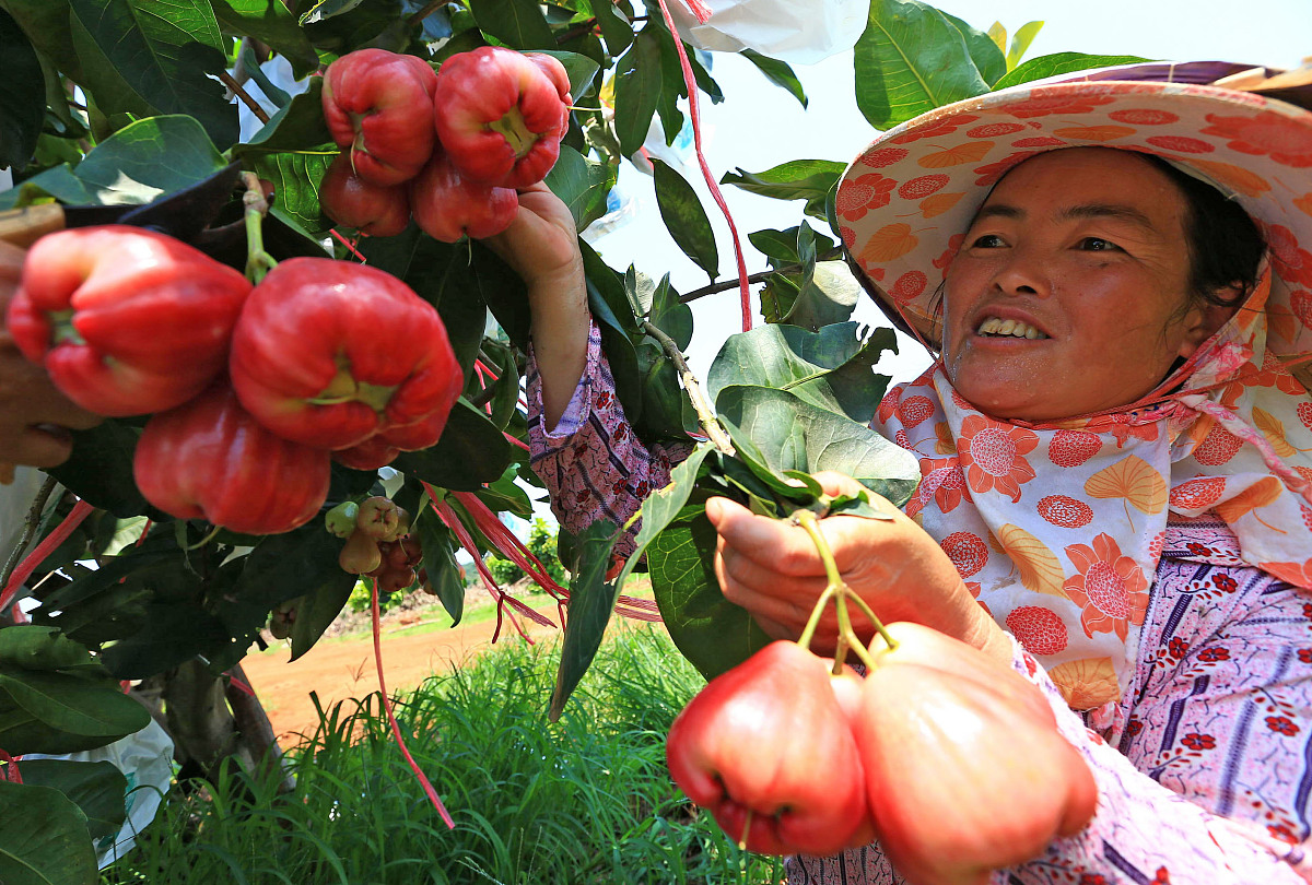 合同签订授权书范本 - 北京华瑞达企业管理有限公司