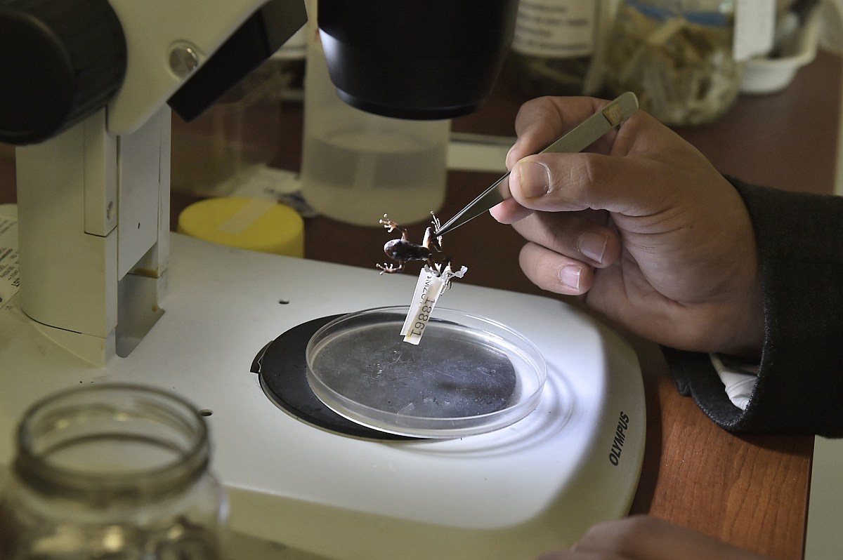 西安科技大学的环境工程专业行业前景