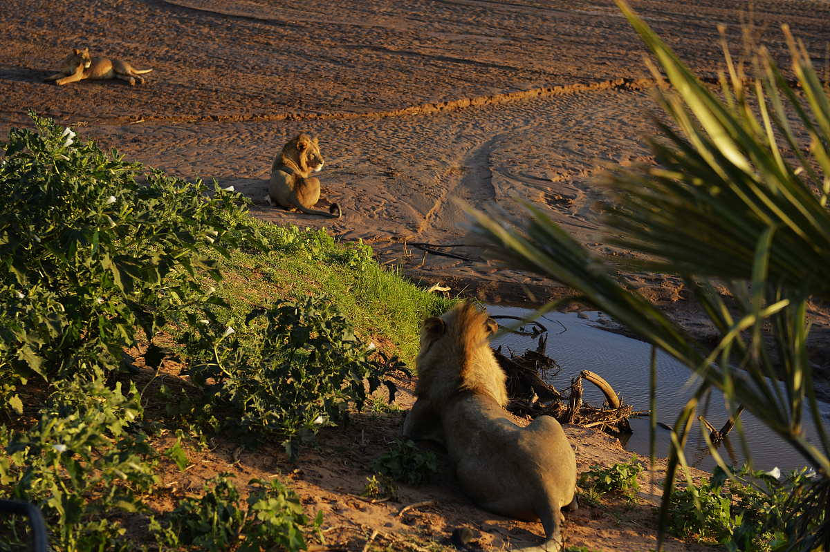 王者荣耀fmvp皮肤都什么时候上线的