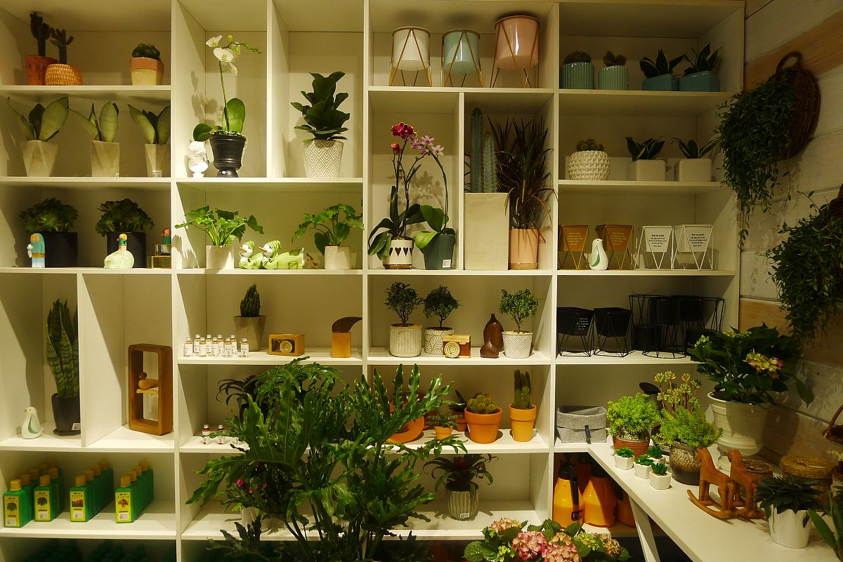 绵阳泛美飞行职业技术学校有什么优势？