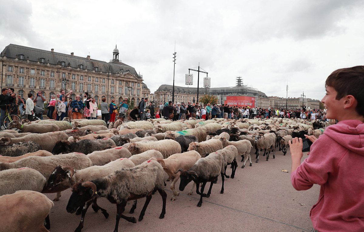 车辆VIN码与EMAID码加密成17位EVIN码可行吗？