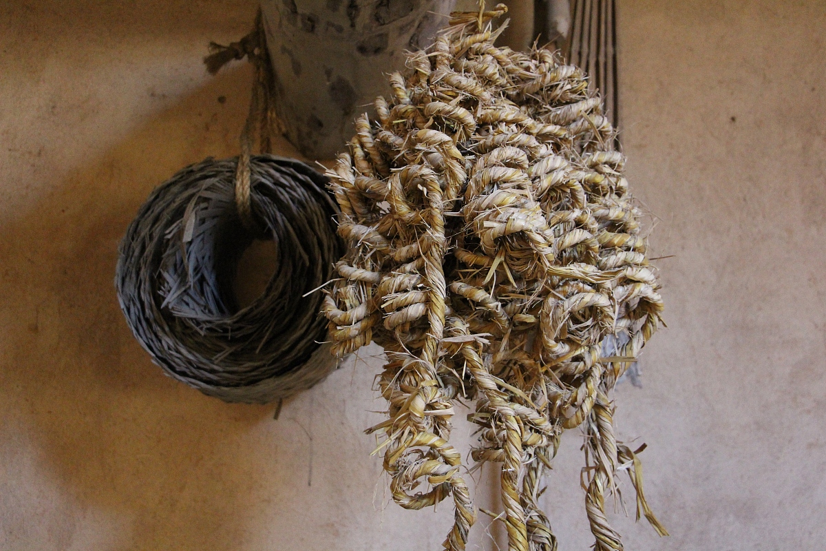 黄冈市卫校数量增加：2022年至少新增两所