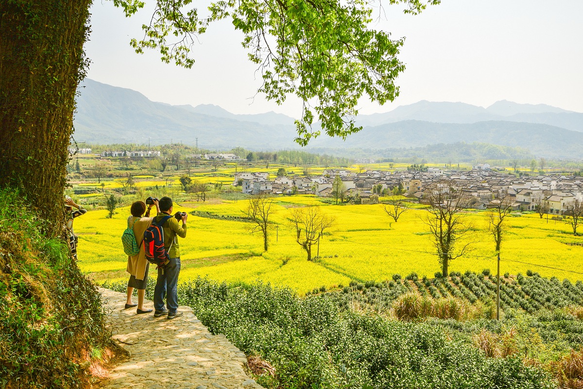 关于春天的作文怎么写