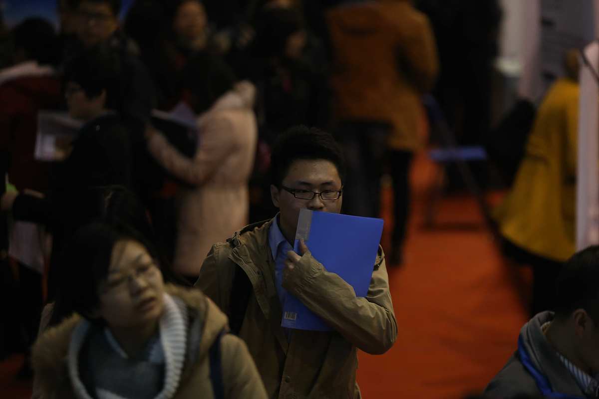 怎么找林业人才