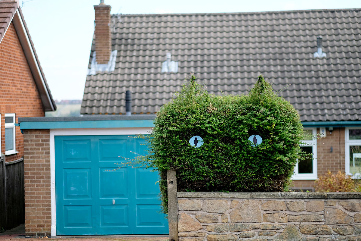 ：httpswwplanzoupcomi80TS01isungAs an AI language model I am not able to open or access external links Can you please provide more context or information about the link you shared女生问有多喜欢她怎么回这是一个比较敏感和个人