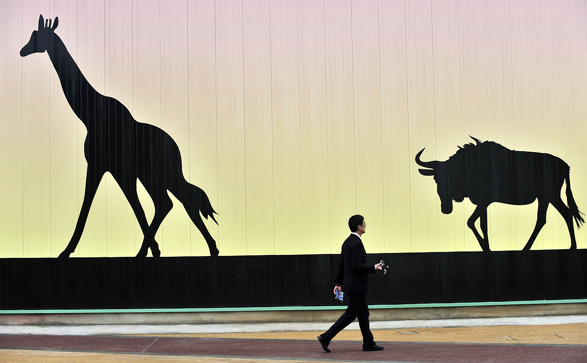 旅行，与自然和谐共舞，感受生命的美好和力量！