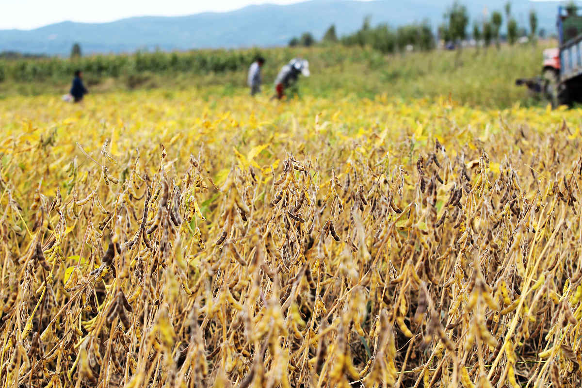 商丘职业学院植物保护专业介绍
