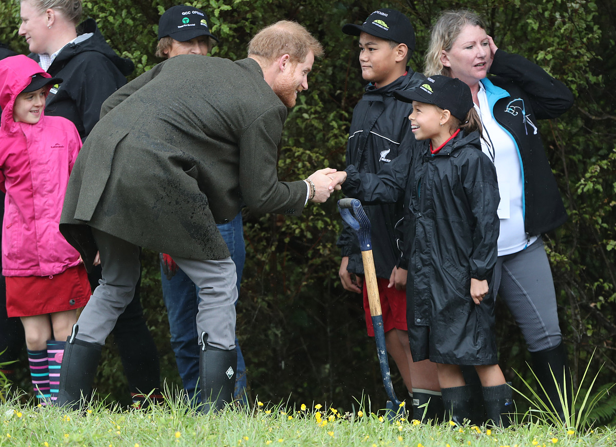 动物园连环脑筋急转弯