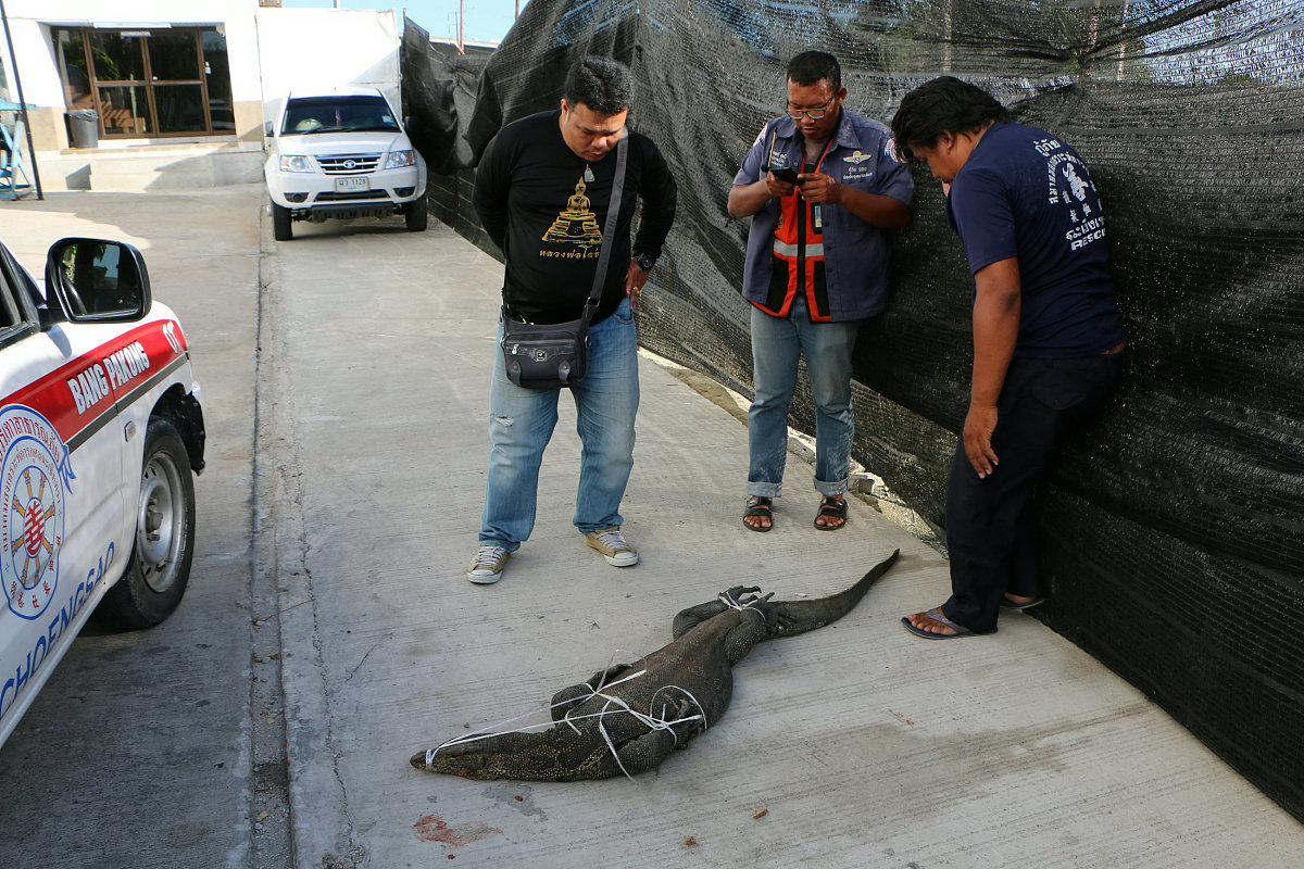 翻译
 Use Appendix D to calculate fluid jet risk in hydraulic systems with water.