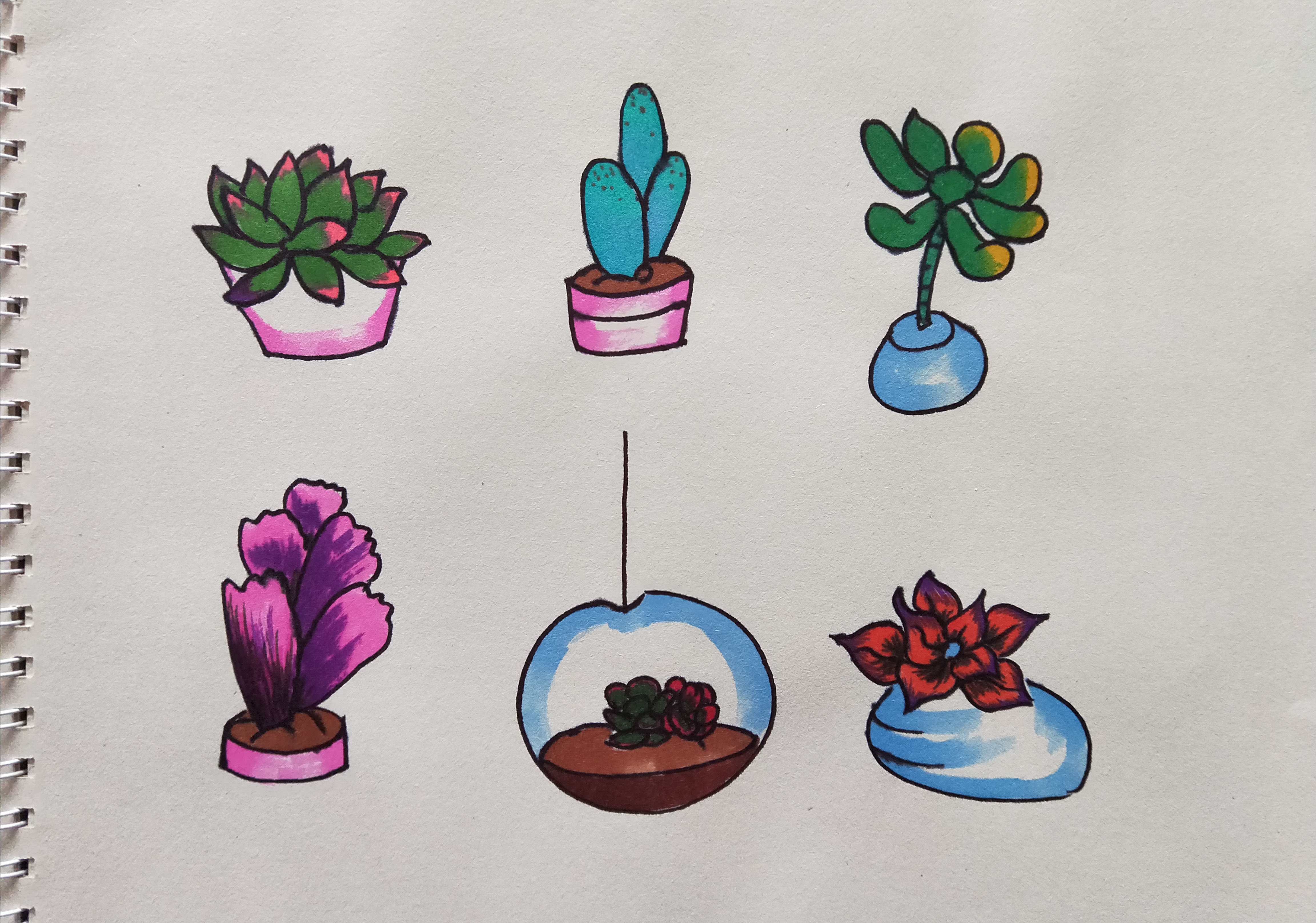 手抄报素材:可爱的多肉小盆栽不同画法