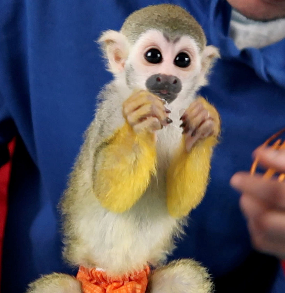 天津市交通职业学院具有哪些办学特色？学校就业情况如何？