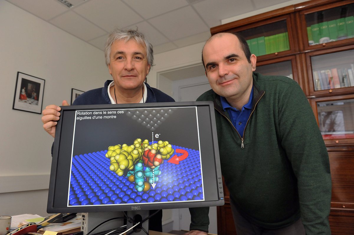 Molecular Genetics and Genomics 期刊现任主编是谁？