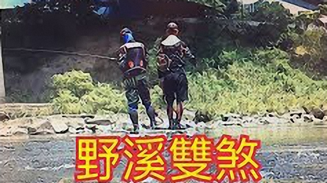 基隆河钓鱼,夏天吴郭鱼太多,苦花都跑不见了,拉爽爽还是没问题