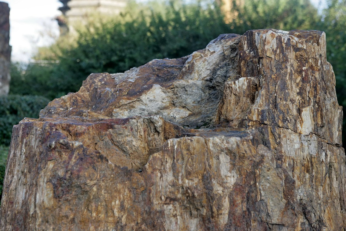 子洲县富发农业科技有限公司黄芪产品市场营销策略优化研究：结构框架详解