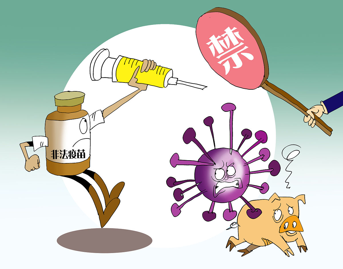 无野生流感病毒的情况下流感缺损干扰颗粒的生产