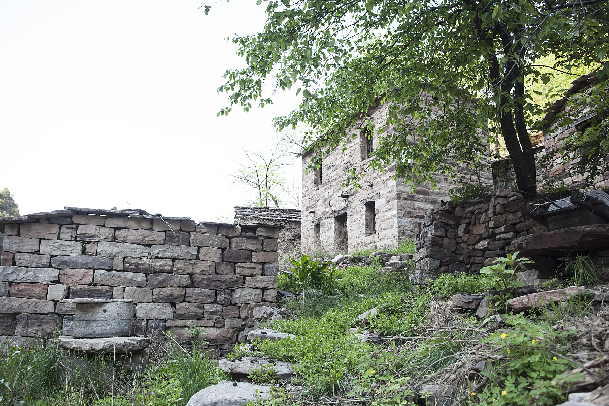 邢台卫校排名2022最新排名-邢台最好的卫校有哪些