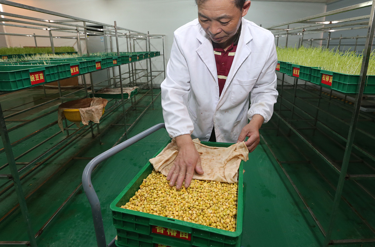 请翻译如无异议我们明天将前往工厂查看我船大豆生产的产品情况收集相关数据并了解收货人下一步生产计划。