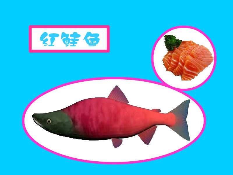红鲑鱼是美国最有价值的鲑鱼品种