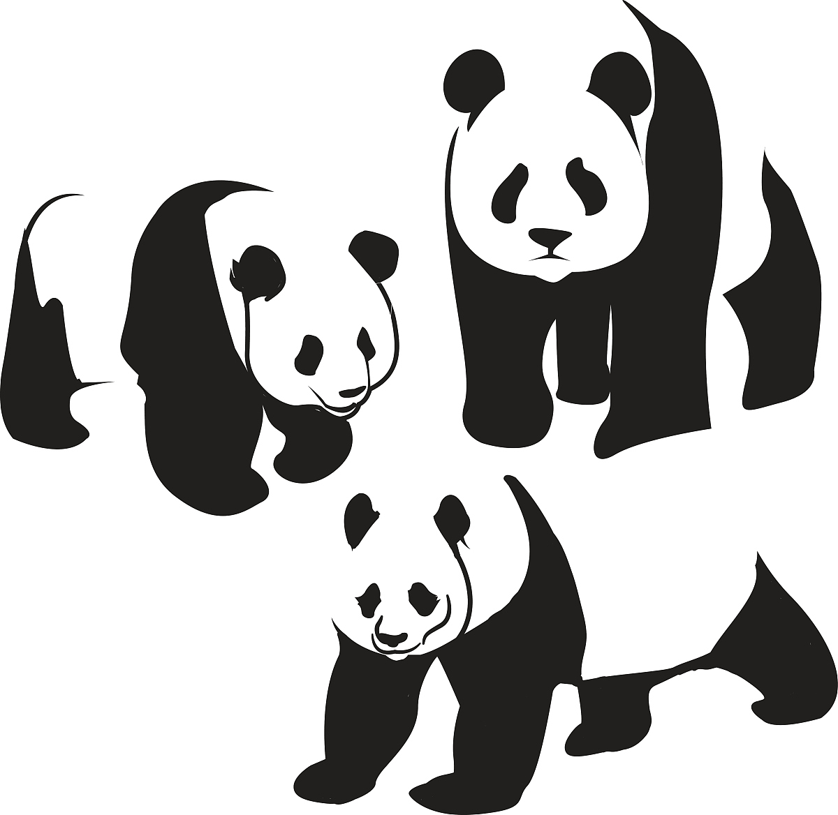 用My favorite animal is a panda写一篇长度为十二句的中国小学3年级的英语短文