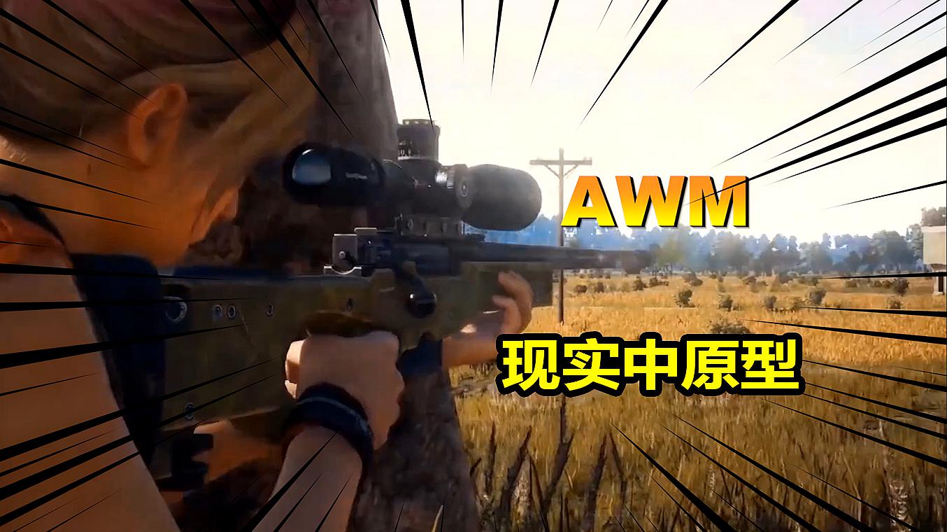 [图]你知道AWM,现实中的用处吗?答案在这里!