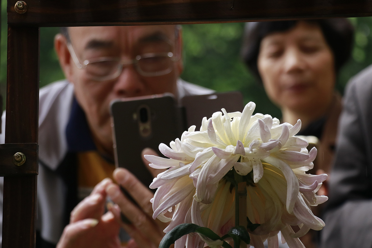 爷爷去世，我一直走不过去这个坎，清明节当天想起他了，又开始悲伤。这天在家无意翻开了相册、信件、老瓷器、玩具、手表等物品，发现爷爷的爱其实一直都爱，一直都没有消失，想起了他曾经的点点滴滴，明白他们其实是换了种形式陪伴何守护。在缅怀他们的同时，我们的生活永远要朝前看。请根据以上主题内容，撰写1500字的条漫文案，要求文字有文采，故事深刻，能分别细致表述相册、信件、老瓷器、玩具、手表