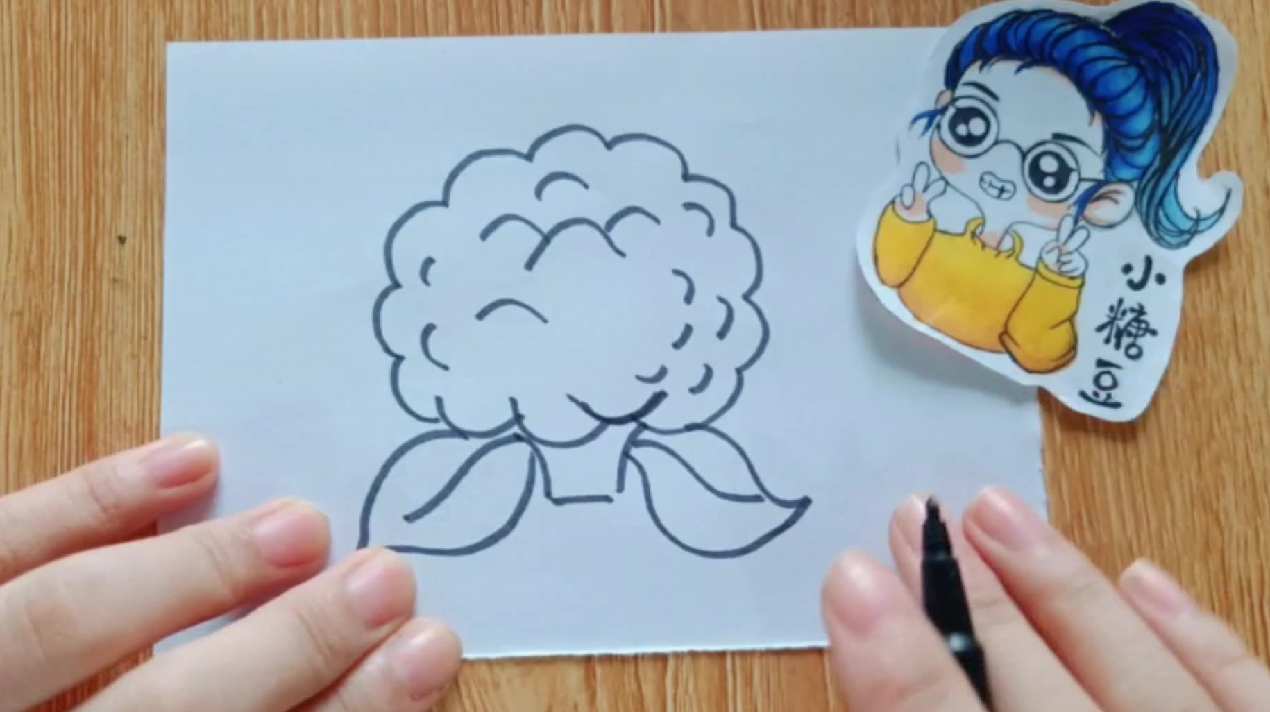 儿童简笔画解说版,可爱的小菜花,宝宝一看就学会!