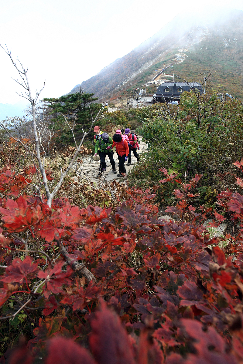 当地时间2012年9月25日,韩国雪岳山大青峰山路上出现今年第一丛红叶,