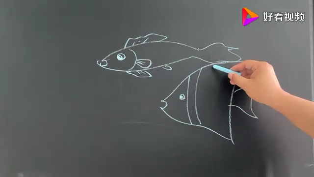 两条鱼儿水中游,今天学画鱼