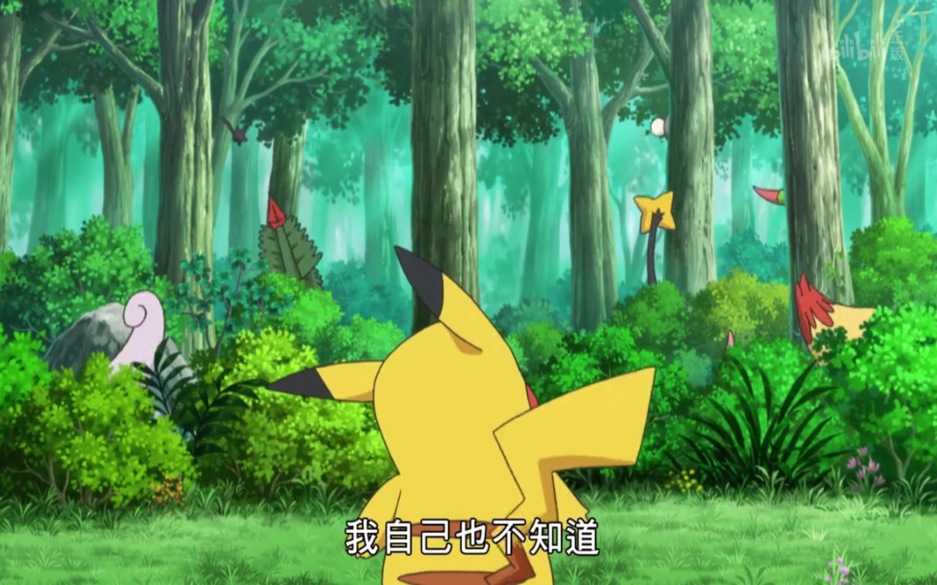 神奇宝贝:超级蜥蜴王有龙属性?猜一猜超级蜥蜴王的尾巴是哪个