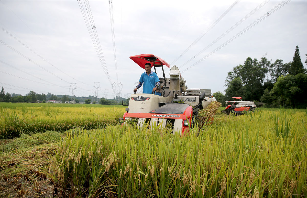 眉山市技工学校2019年招生简章 - 培养优秀技工人才