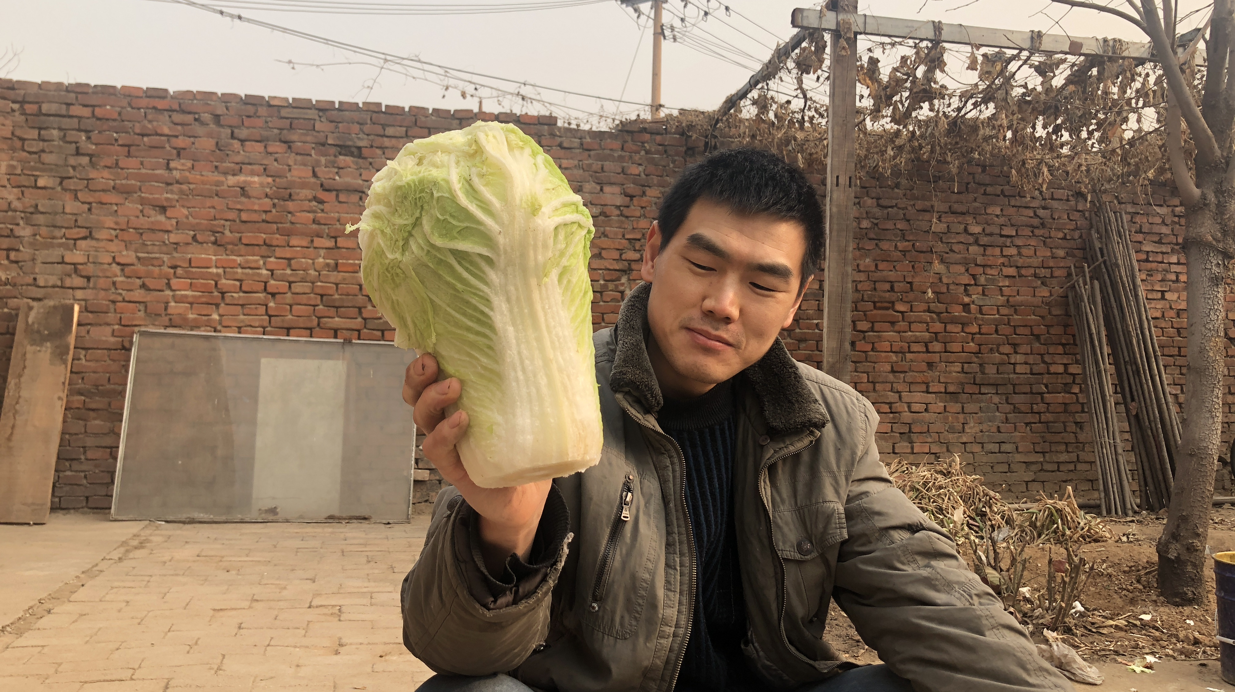 阿远自家种的大白菜,做了道“醋溜白菜”吃,烤着馒头片真得劲