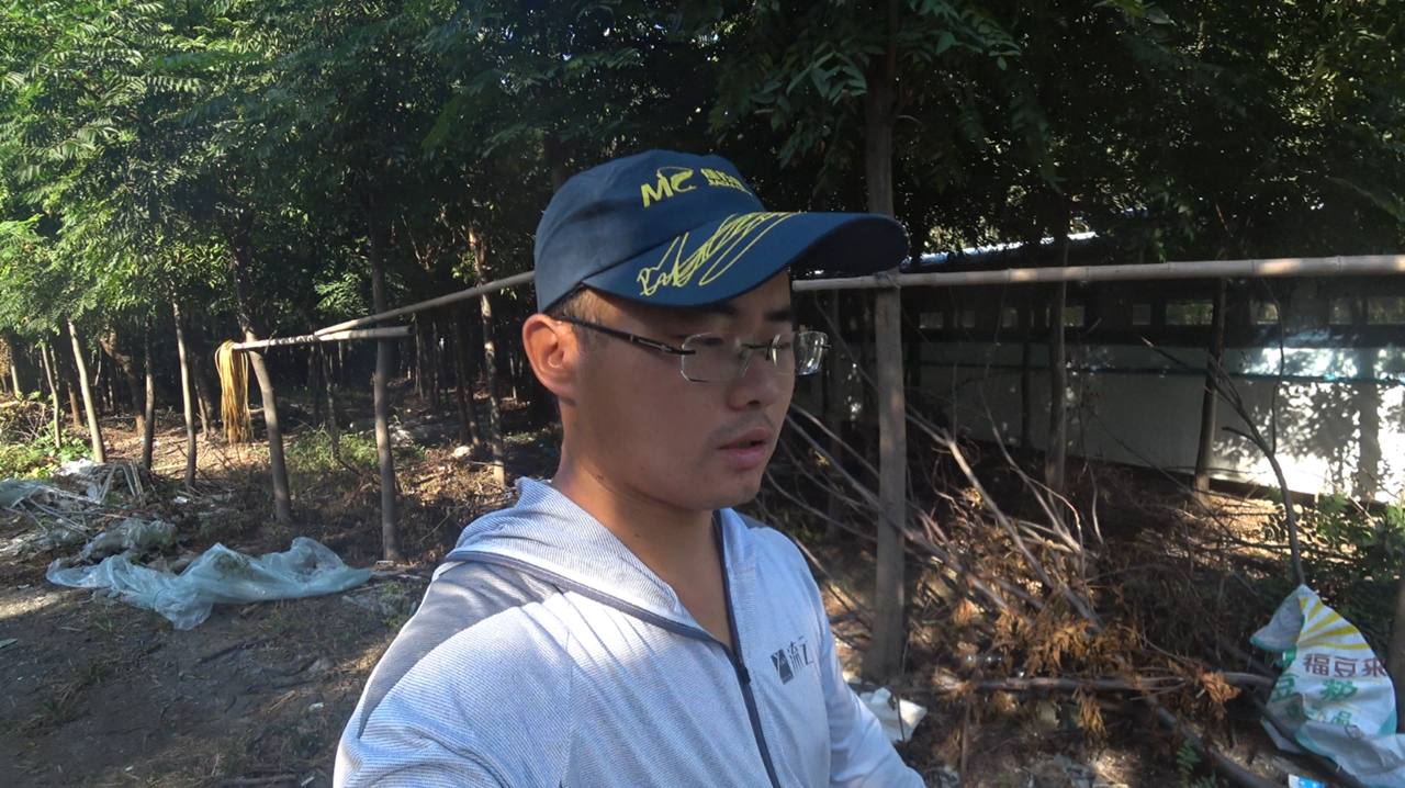 农村小伙离开养鸡场4小时,回来鸡场就死了好多鸡,小伙心里难受